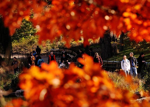 Deep autumn colors of Central Park