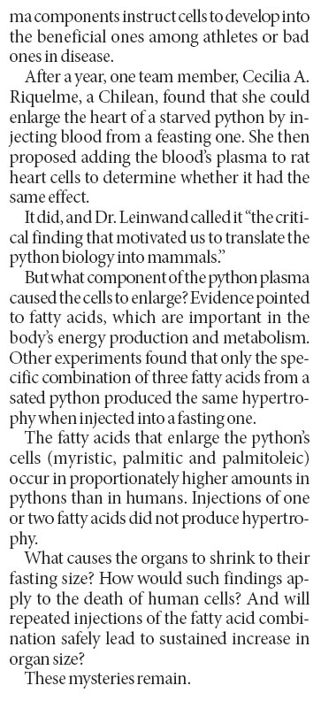 Drug ideas in a snake's gorging