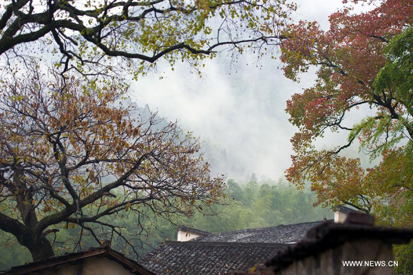 Beautiful scenery of Huangshan Mountain in early winter