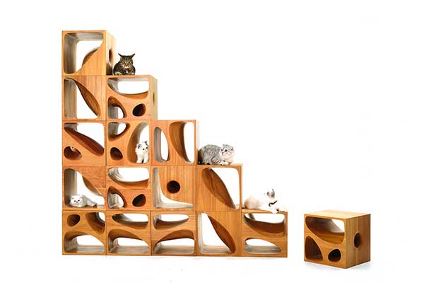 Feline flavor in architect’s furniture designs