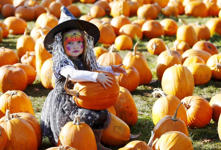 Playing in the pumpkin patch ahead of Halloween