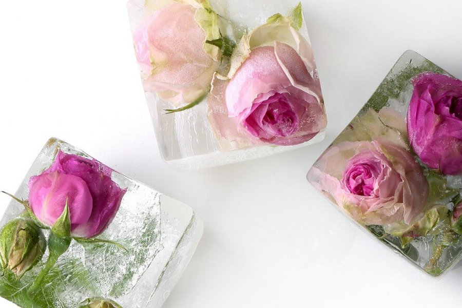 Stunning flower and fruit ice cools down scorching autumn