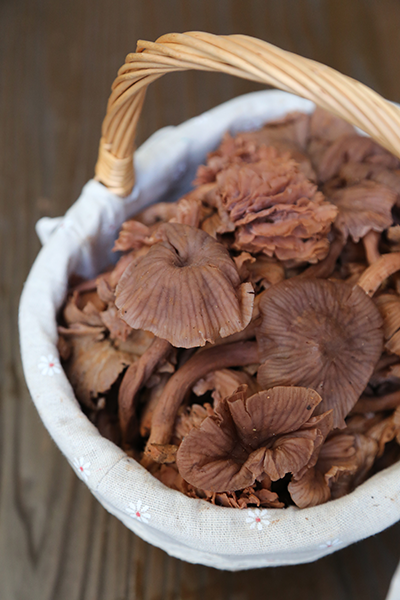 Natural treasures from the mountains