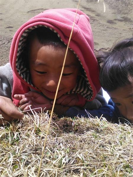 Tibetan children enjoy 'golden worm' holiday