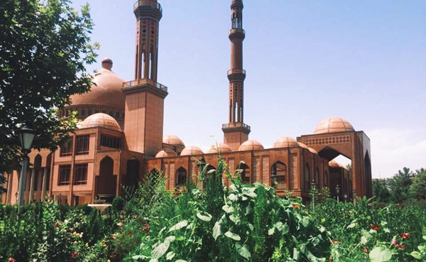 The discovery of beauty in Kabul while teaching Chinese in the war-torn country, Afghanistan