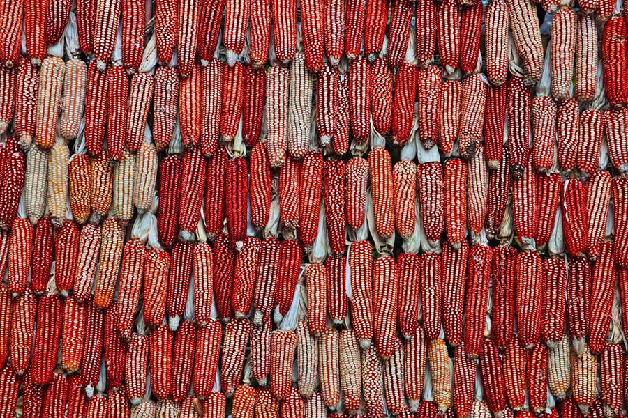 Guizhou through a photographer's eye