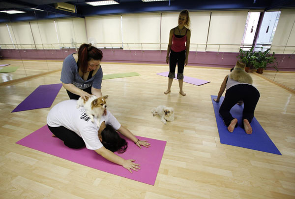 Dog yoga lessons in HK