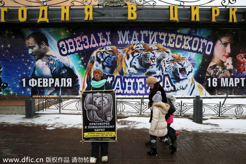 Protest agaist animal abuse in St Petersburg