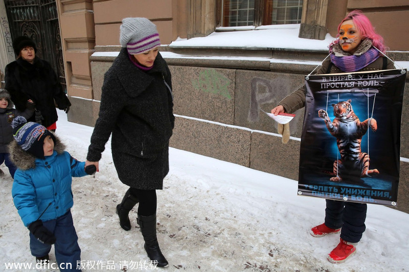 Protest agaist animal abuse in St Petersburg