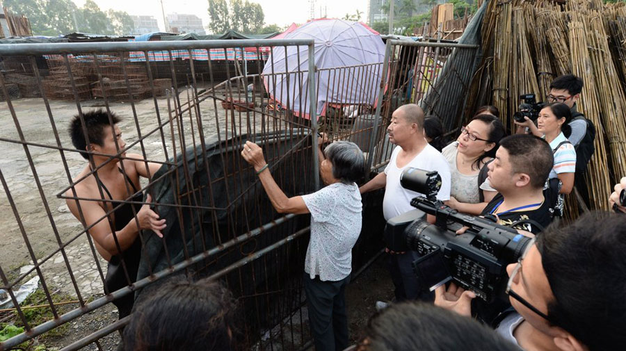 Fur flies in Yulin over dog meat festival