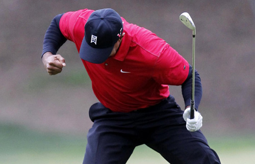 Tiger will dominate again