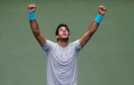 Juan Martin del Potro wins Japan Open