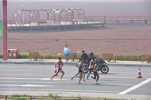 Colors accentuate Panjin Red Beach marathon