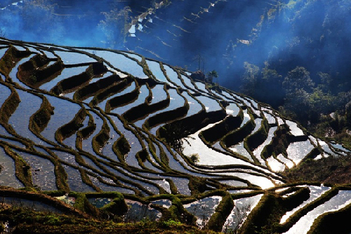 Breathtaking Yuanyang terrace