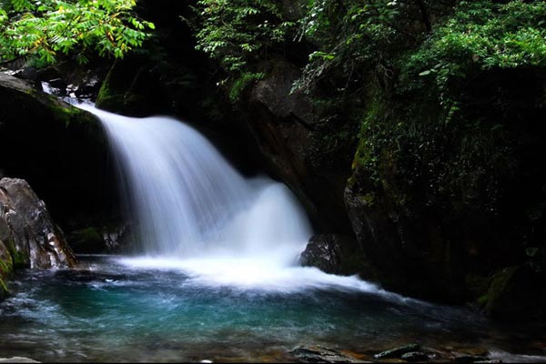 A snapshot of Shennongjia Nature Reserve