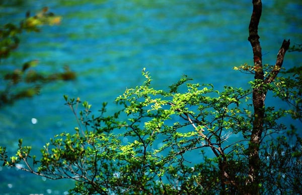 Amazing Jiuzhai Valley