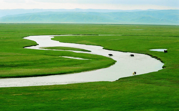 Summer views of Qinghai