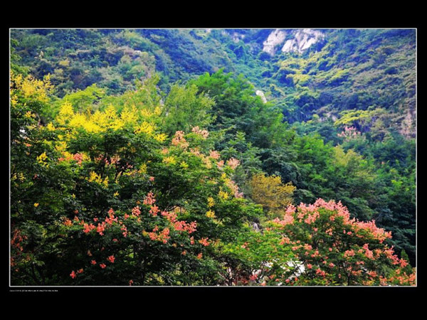 Cuihua Mountain National Geopark