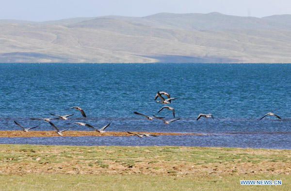 A gleam of clouds covered sister lakes in Qinghai