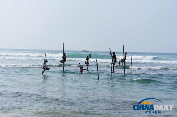 Sri Lanka: Stilt Fishing