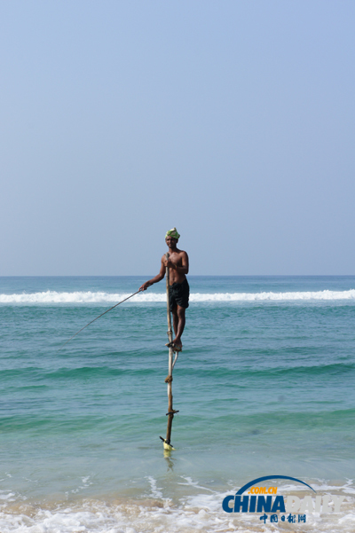 Sri Lanka: Stilt Fishing