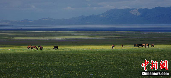 Sayram Lake in the threshold of summer