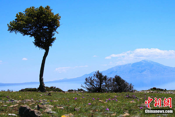 Sayram Lake in the threshold of summer