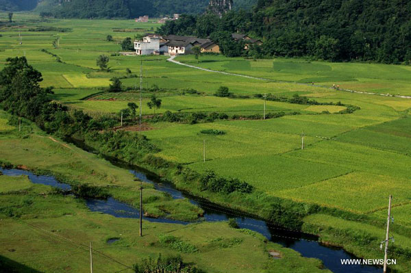 Idyllic sceneries in S China