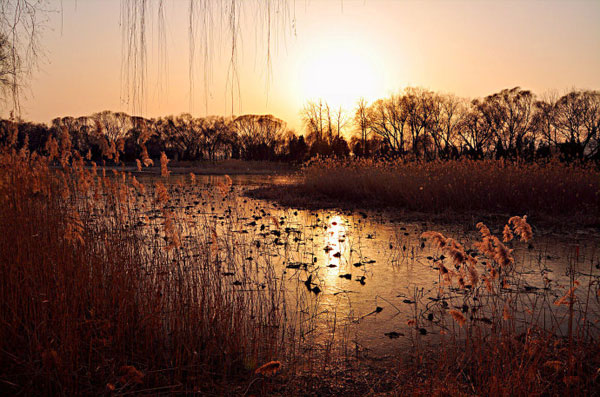 The silent beauty of the Summer Palace in winter