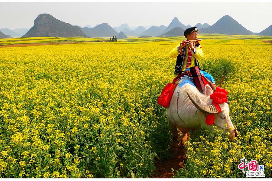 Breathtaking Luoping in China