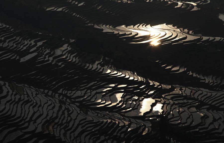 Stunning scenery of Hani rice terraces