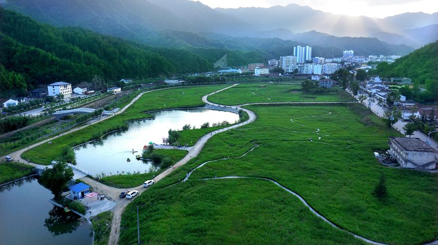 Gesang flowers in bloom in Liuba,Shaanxi province