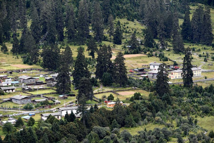 Scenic Nyingchi in Tibet