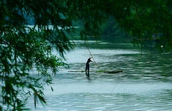 Scenery of Huoshan bamboo forests in Anhui