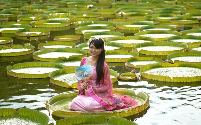 Aquatic plants exhibition attracts visitors in Taipei