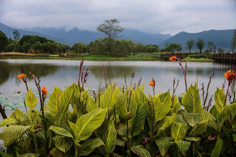 E China's wetland park further opens to tourists