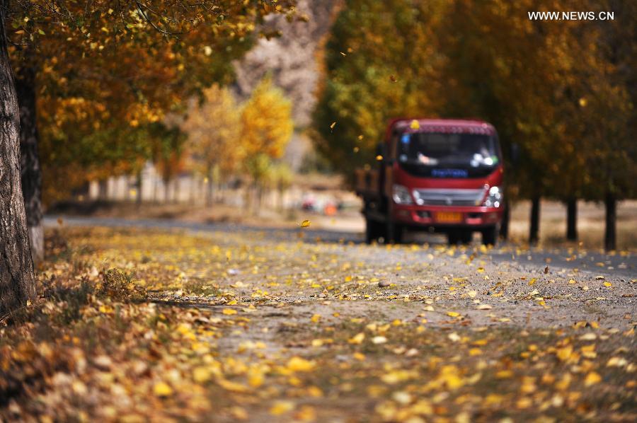 Autumn scenery in Tibet