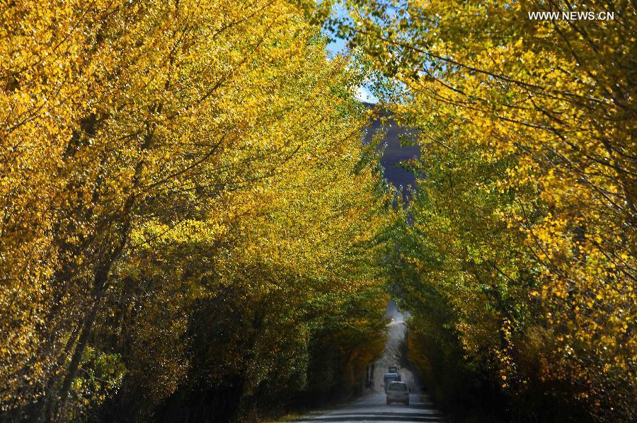 Autumn scenery in Tibet