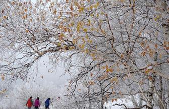 Autumn scenery in Tibet