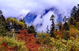 Colorful autumn of Emei Mountain