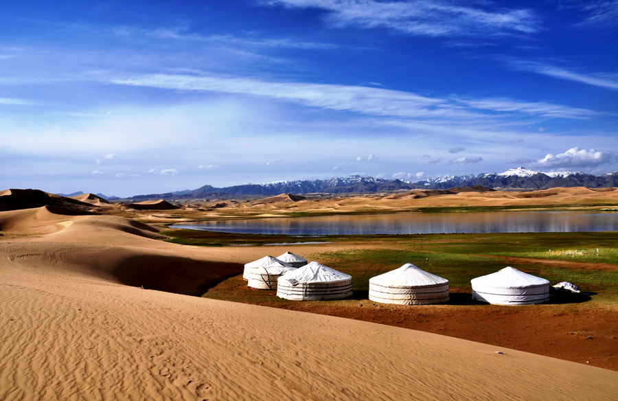 Beautiful 'Golden Sea' in Qinghai