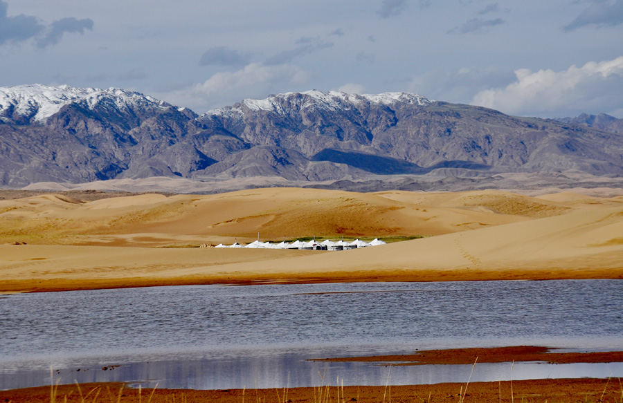 Beautiful 'Golden Sea' in Qinghai