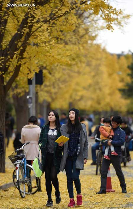 People enjoy autumn in Beijing