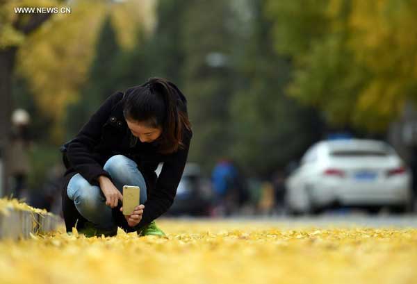 People enjoy autumn in Beijing