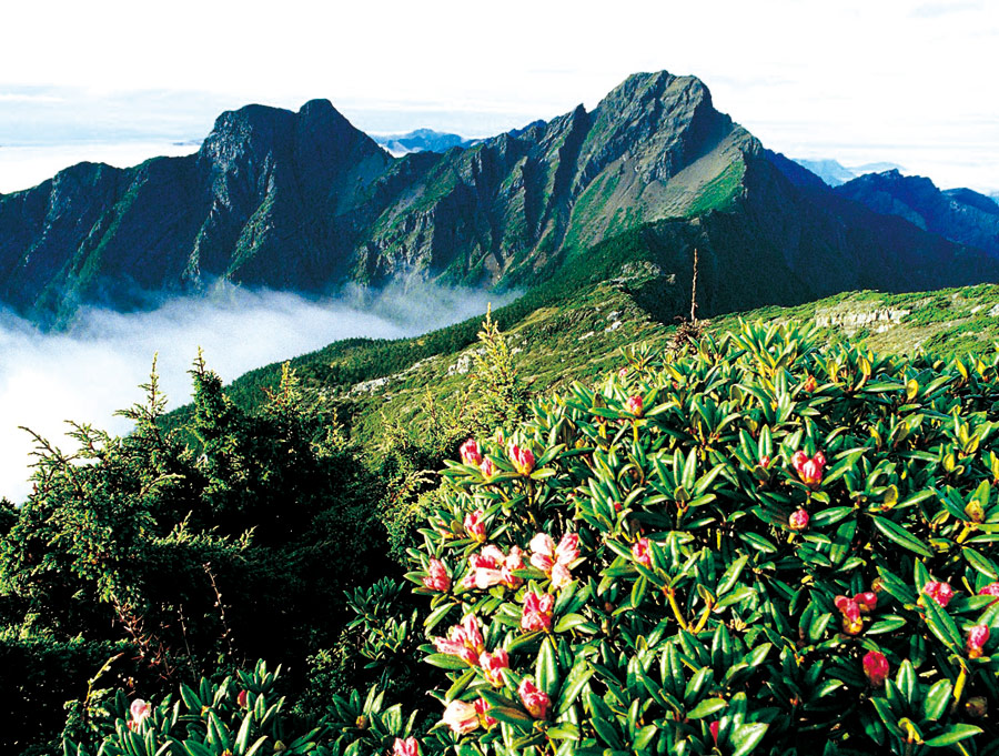 The highst mountain in Taiwan - Jade Mountain