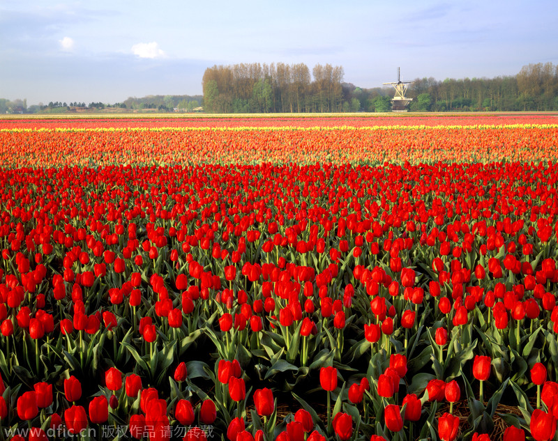 World's most colorful landscapes