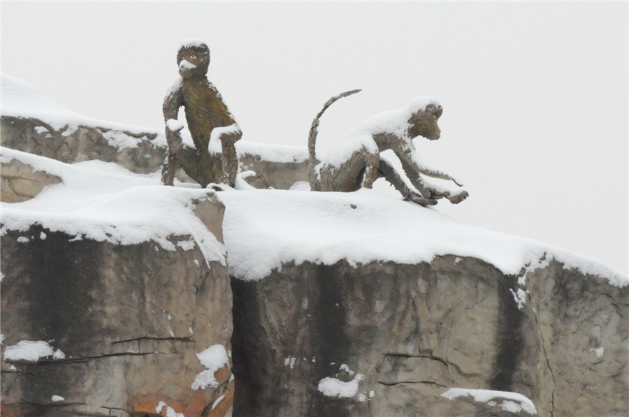 Stone monkeys enjoy snowfall