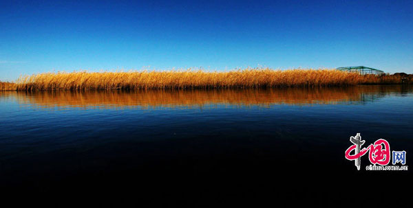 Zhalong Nature Reserve in Heilongjiang