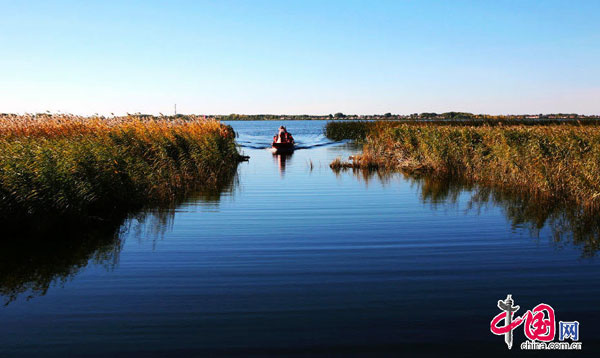 Zhalong Nature Reserve in Heilongjiang