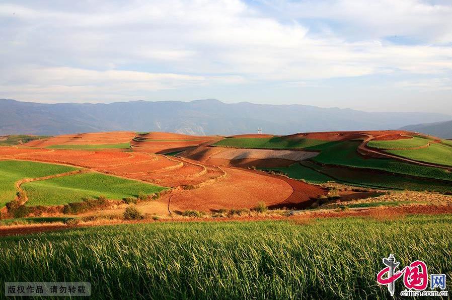 Picturesque scenery of red earth in Yunnan